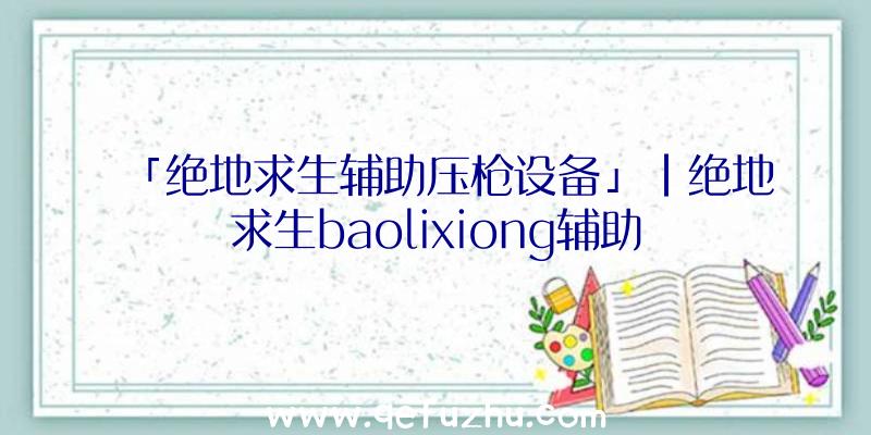 「绝地求生辅助压枪设备」|绝地求生baolixiong辅助